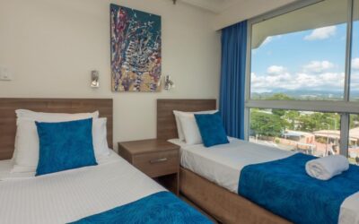 Have a Change of Atmosphere by Exploring Springbrook National Park