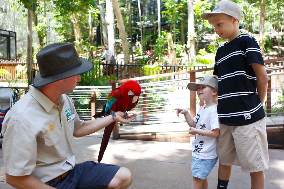 Currumbin Wildlife Sanctuary