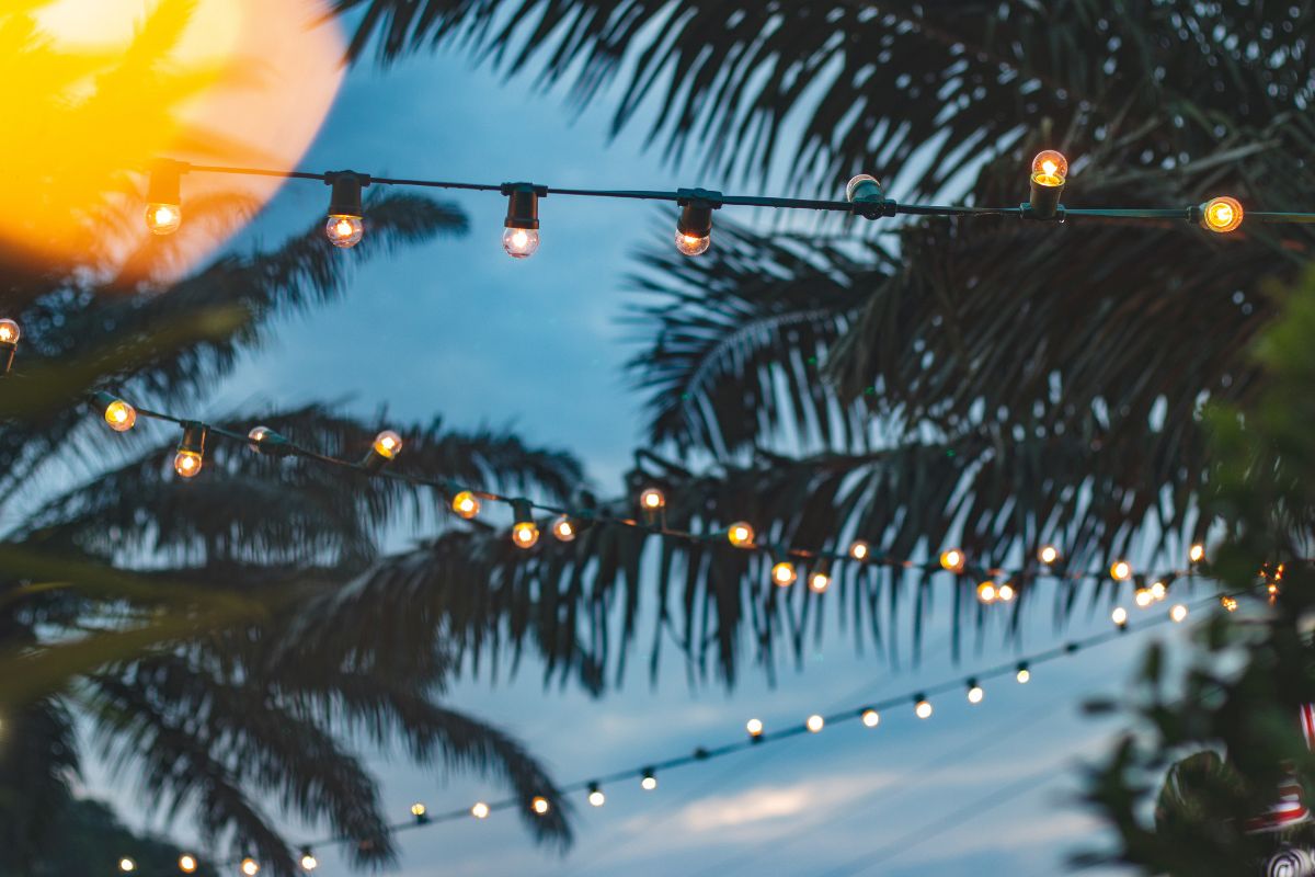Enjoy the Southern Gold Coast's Christmas Festivities and Feasts - 2nd