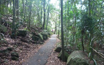 Burleigh without the kids: a slow weekend for two
