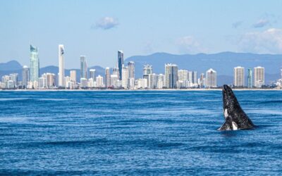 Winter in Burleigh Heads: the season locals keep quiet about